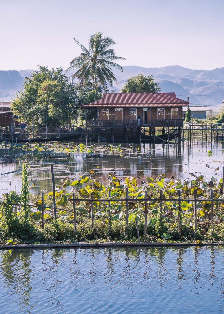 orti galleggianti Lago Inle Myanmar