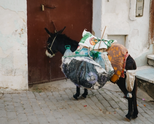 paura di viaggiare – ansia di viaggiare – autosabotaggio – psicologia del viaggio – marocco paura di viaggiare - ansia di viaggiare - autosabotaggio - psicologia del viaggio